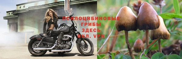 ГАЛЛЮЦИНОГЕННЫЕ ГРИБЫ Алексеевка