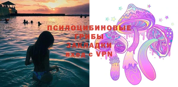 ГАЛЛЮЦИНОГЕННЫЕ ГРИБЫ Алексеевка