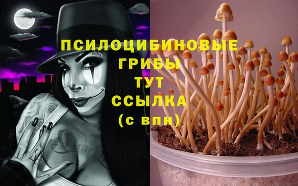 соль курить ск Алзамай