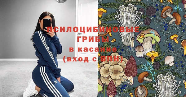 соль курить ск Алзамай