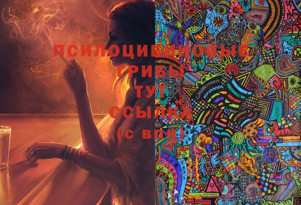 мдпв Алексин