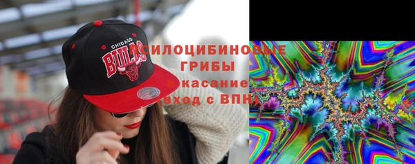 соль курить ск Алзамай