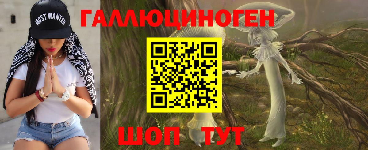 Березники  Псилоцибиновые грибы прущие грибы  Вход с VPN  Псилоцибиновые грибы Psilocybine cubensis 