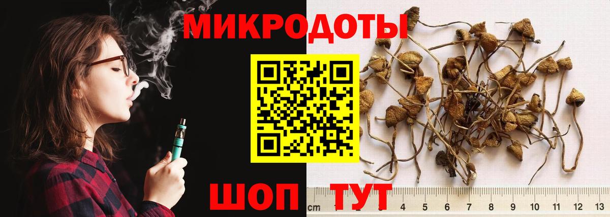 Галлюциногенные грибы Cubensis Березники